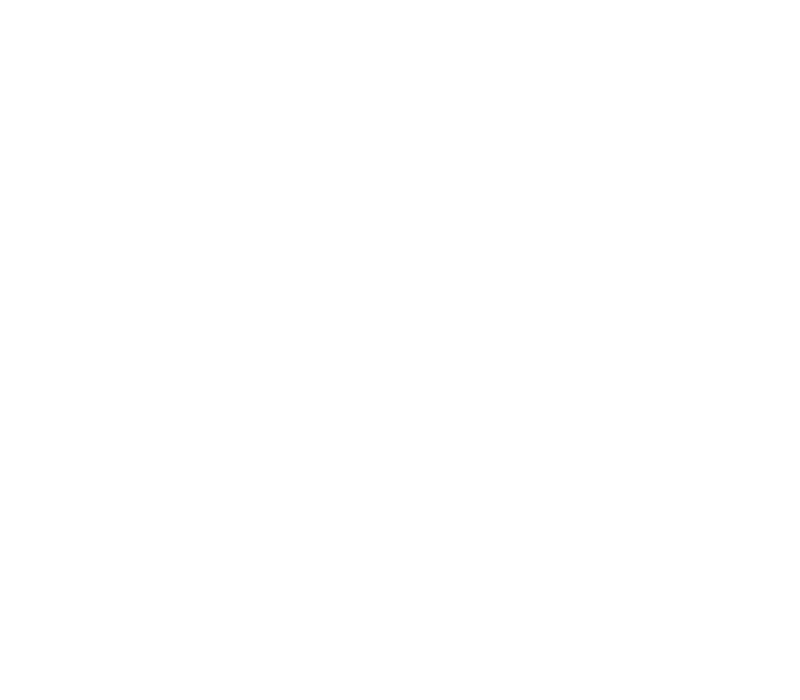 高麗蔘精EVERYTIME